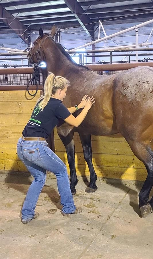 Triggerpoint Equine & K9 Sports Massage Therapy business image in Laramie, Wyoming