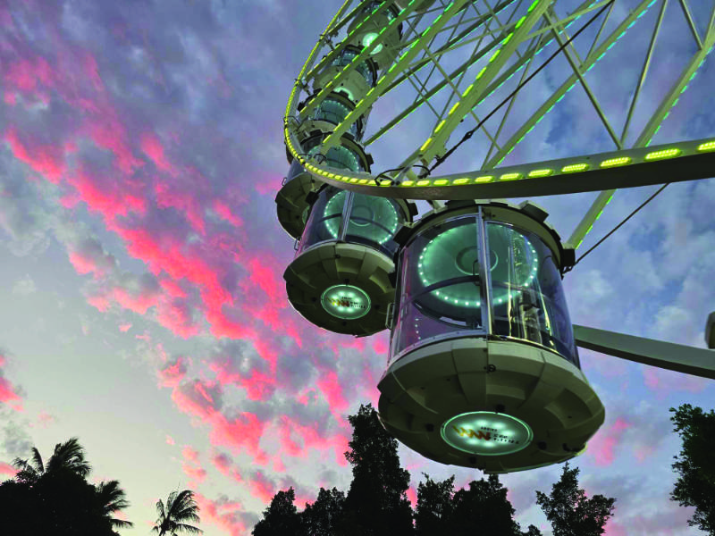 Tourist Wheel Fremantle business image in Fremantle, Western Australia